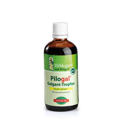 Hildegard Pilogal Galgant-Tropfen 100 ml - Kräutertropfen