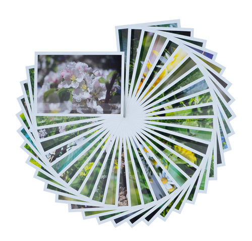 Allgäuer Blütenessenz Kartensatz 33 Stück - Allgäu Kräuterwerkstatt